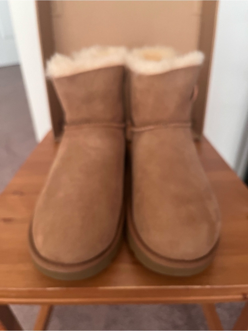 UGG Mini Booties in Chestnut Suede